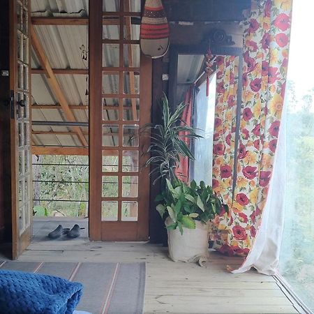 Hostel Holztel Sapiranga Rum bild